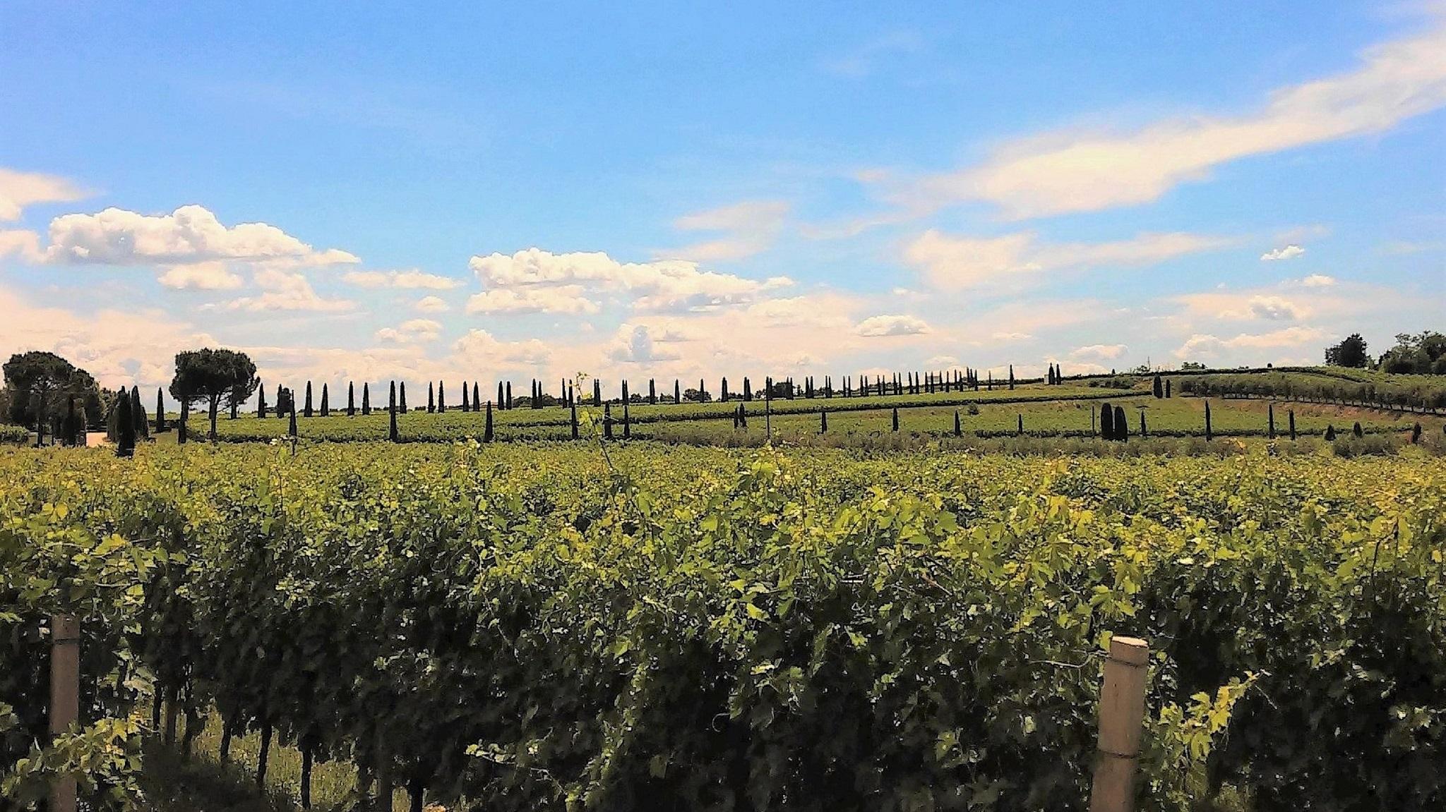 Borgo Romantico Green Relais Cavaion Veronese Luaran gambar